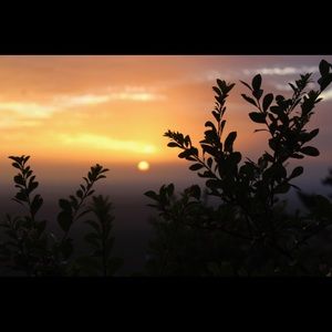 Meet your Posher, Sydney